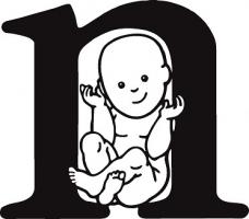 Nadační fond "N"