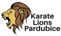 Karate Lions Pardubice